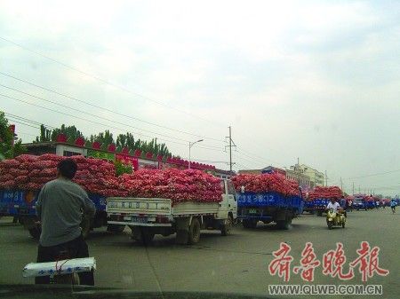 "�Ї��ⶼ"ɽ�|���l(xi��ng)����r���^ȥ�걩�q40��