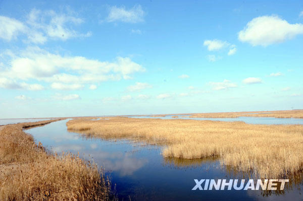 �S�������޵؅^�lչ��������ґ���[�M�D]