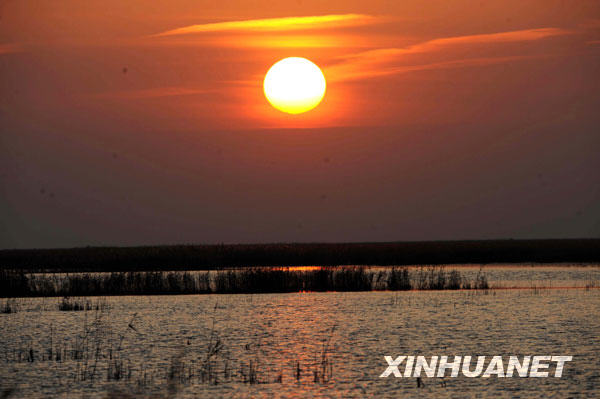 �S���ǳɇ��Ұl(f��)չ��(zh��n)��