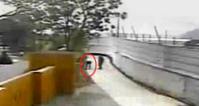 �R���C����ǰ����ع⣺·�^���������β�