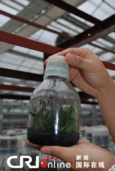 �����m�����L�Ɂ����������m���،���̩ɽ����