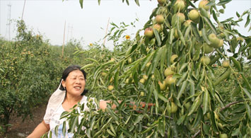 մ���������γɮa(ch��n)�I(y��)