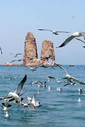 ���_(t��i)����