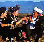 ��������L�����T