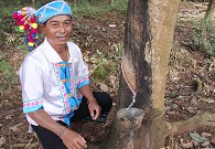 �r�����������Ҫ�����z