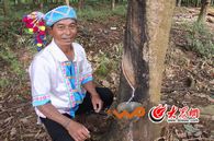 �r�����������Ҫ�����z