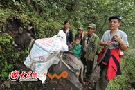 �҂�?c��)ٴ��cľ�ώ����Ҷ���һ������