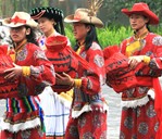 ��(d��)�������