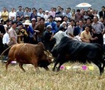 ������ţ����(ji��)