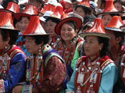 �C�����������