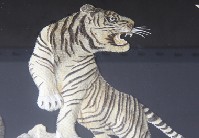 �������~Ƥ��