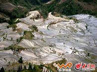 �t�ӹ�������