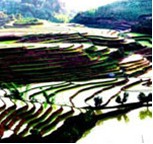 ������������Ļ�