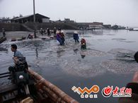 ����Ⱥ�����ի@����