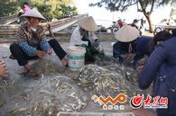 �����˿����Ժ�