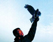 �M������a(ch��n)�c����