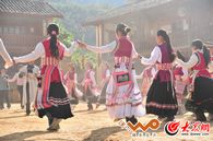 �������������赸