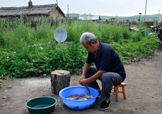 ��Ӣ��������Ժ����~