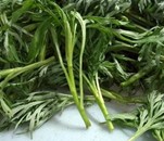 �_�Ӡ����c����ѿ