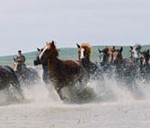 �ɹ�����������y(t��ng)