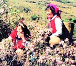 ŭ���r����