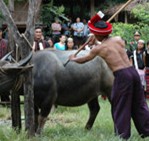 ������롪������Ħ��