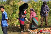 ����ҵ���������������