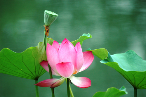 Ϫ�̓�����