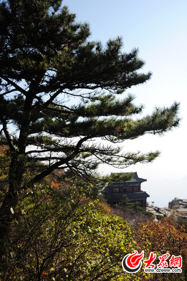 �c���g�[��һ��