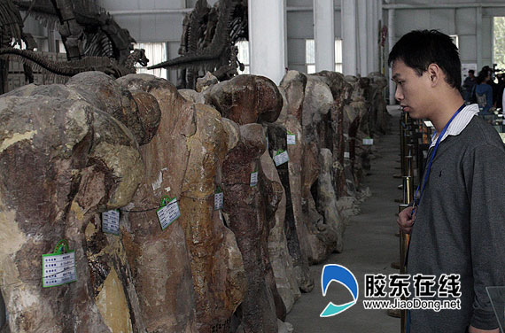 ӛ�߅��^�T�ǿ�����