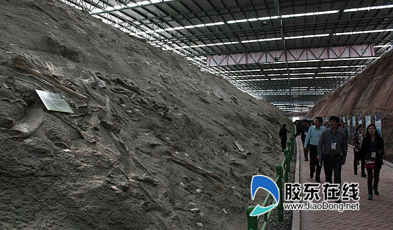 �T�ǿ�����ʯ�ھ�F(xi��n)��