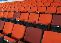 �w���^�ȵļtɫ���θ����r�G