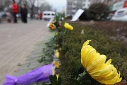 �����԰l����Ӣ����