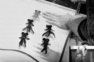 ���~����ꠣ������ǡ�ͨ��늡�