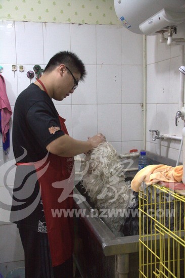 �ﳿ�ڞ�һֻ����Ȯϴ�衣Ҋ��ӛ�� ���� �z