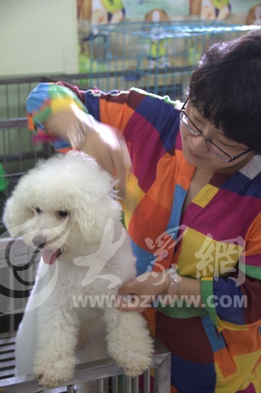 ӛ���ڞ�һֻ����Ȯ����ë�l��