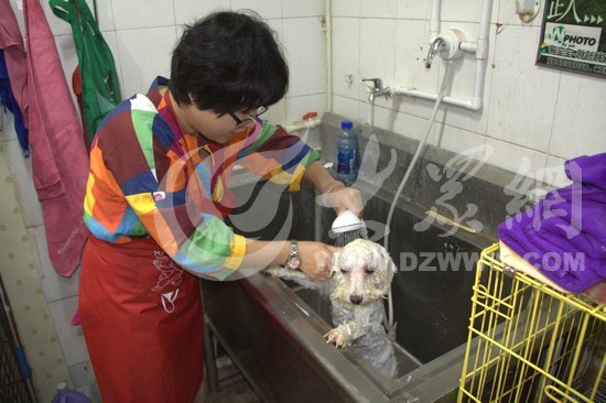 �c���g�[��һ��