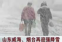 ���������_��ӭ����ѩ