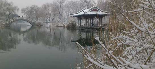 ���ϴ�����ѩ��