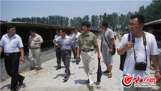  ����һ��ӛ�������������I��˾�N�����Ј�