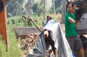 ꐌ��ɳ����Ƶ�����ֹ�����񾯿�ǰ��