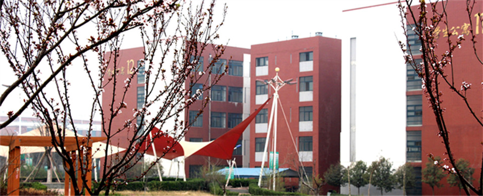 �W����Ԣ��