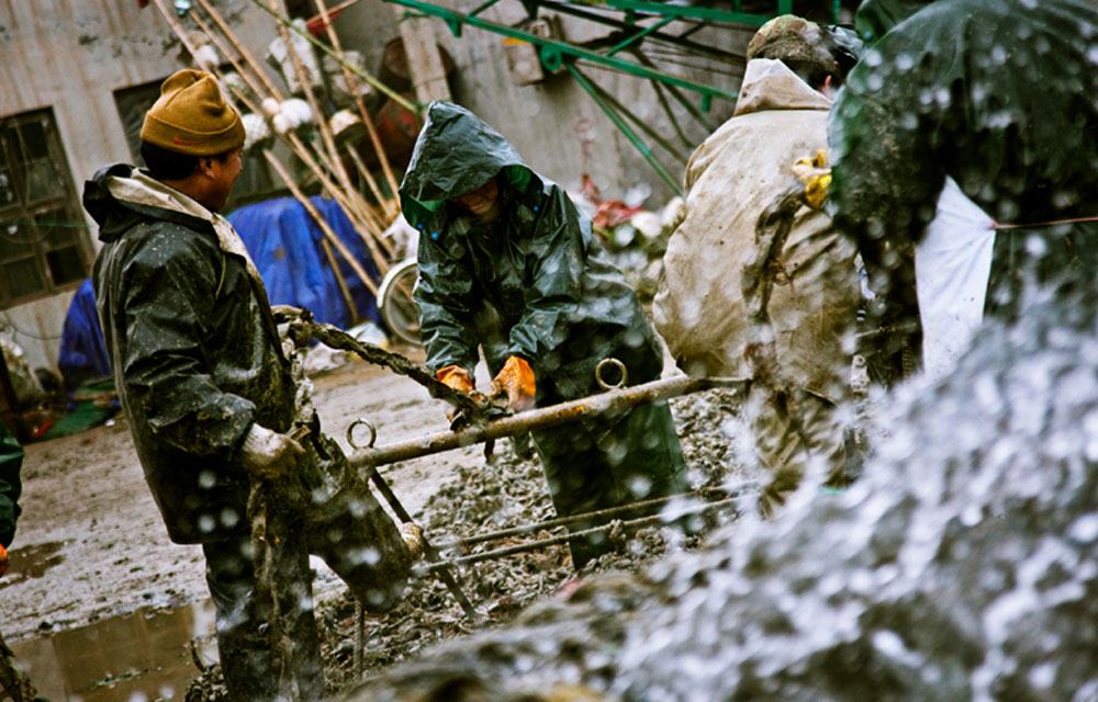 ɽ�|ʡ�����Ѝ�ɽ�^(q��)�O�a�^��(n��i)�����ڵ��ի@����Ĺ��ˣ�����ÿС�r�Ĺ��Xֻ�ж�ʮԪ��