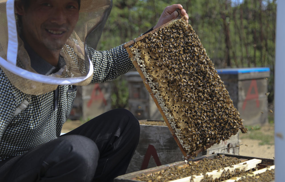 ������������۵�����҂��fԒ�g���B(y��ng)���˱��U��һ�£�����΢������һ���^�m(x��)�f����һ����Ǹ��������ܣ��డ�𰡣���(x��)�T�˶����X��ɶ�ˡ�