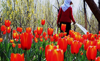 ������ʲô�@�Ӽt