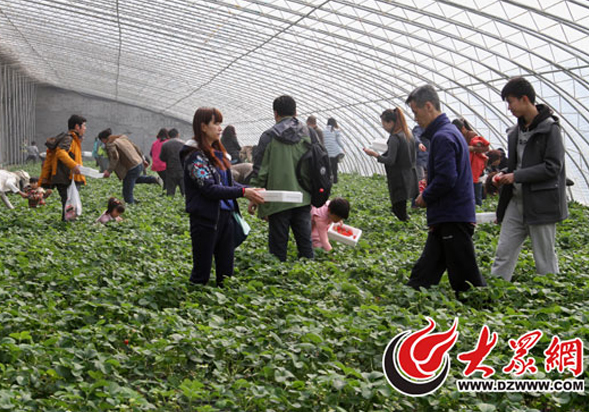 �W(w��ng)�т������A�f�@�ݲ�ժ��ݮ