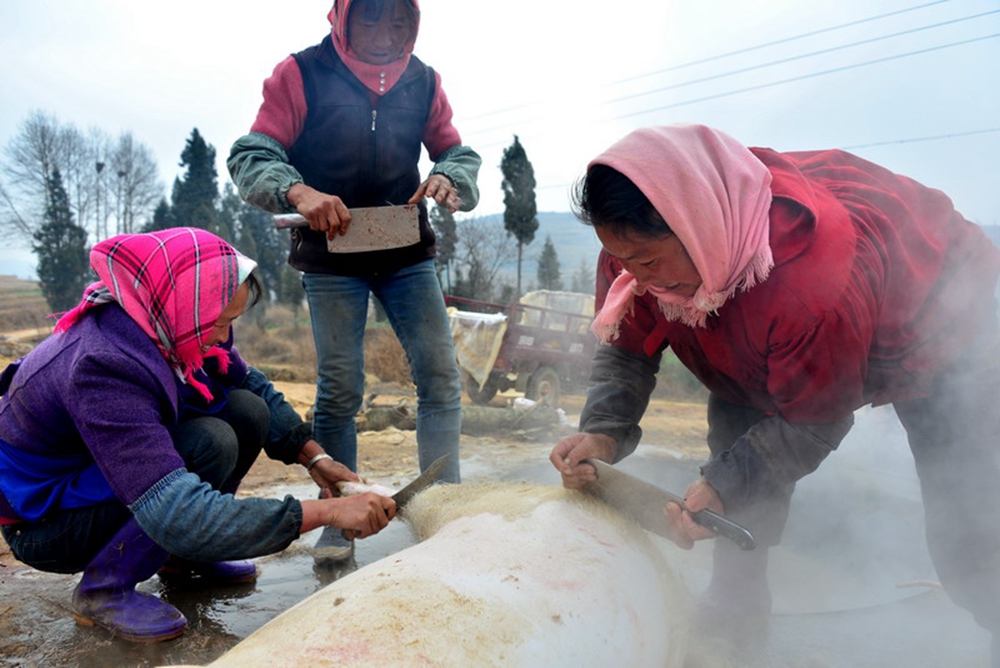 �����i��Ů�ˡ� �zӰ ����֥ �Ԓ��15230488570.jpg