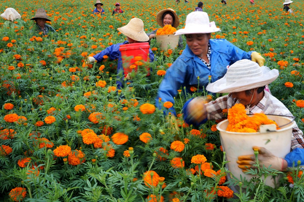 ���ի@�� �zӰ ����֥ �Ԓ��15230488570.JPG