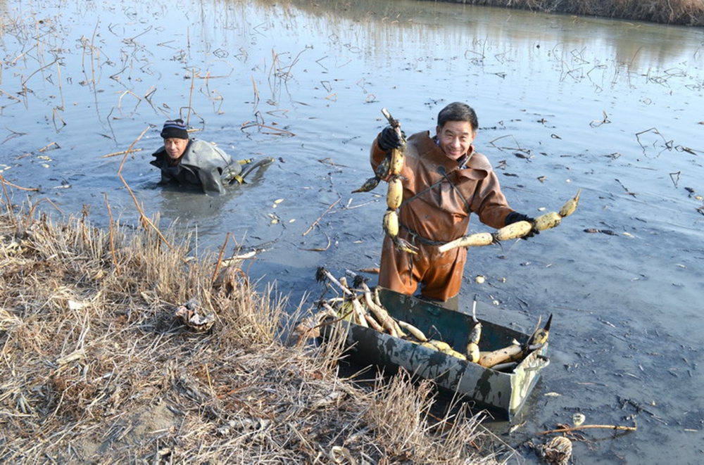 ����܊�� 45�q ��ź�����r 13869359885.jpg