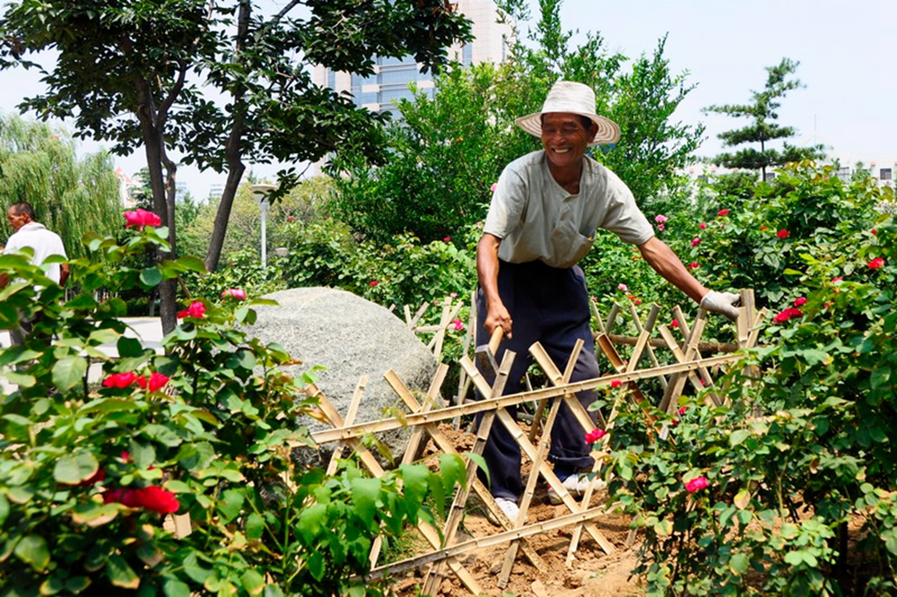 ���@���� �zӰ  ������ �Ԓ 13573353533.jpg